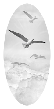 Journey Home Clouds Birds White